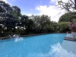 The Riverine By The Park (D12), Apartment #543519071